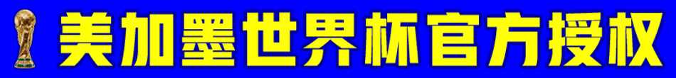 皇冠世界杯
